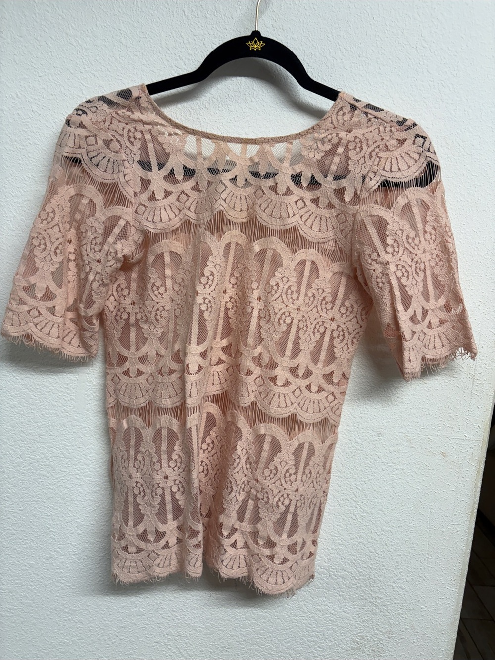 BCBGeneration Blush Lace Short Sleeve Scoop Neck Top